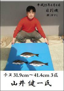 日引磯でチヌ39.5cmを頭に3匹他、各地でチヌが好調です