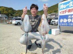 工場裏アオリイカ釣果！ヤエン大物をキャッチ！