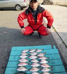 チャリコ釣果、 沖一文字外向きでカゴ釣りで