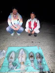 神谷一文字での半夜ヤエン釣果♪アオリ2.3kg♪