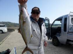 神谷、沖一文字内向き50cmのシオをカゴ釣…