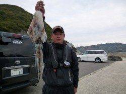 工場裏でのヤエン、連日好釣果が続いております♪