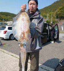 工場裏でヤエン釣り、3kgまであと少し、2.9kgのアオリGET ↑