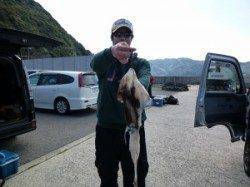 工場裏でアオリイカ、ウキ釣りでも釣果あります♪