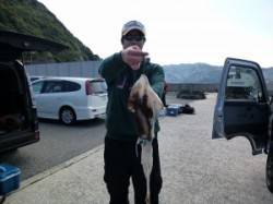 工場裏でアオリイカ、ウキ釣りでも釣果ありま…