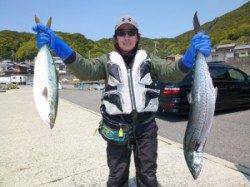 ショアジギングで90cmのサワラやハマチ♪