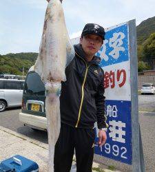 神谷一文字 エギングでアオリイカ2.1kg