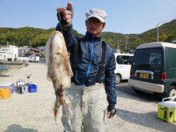 神谷一文字 エギングでアオリイカ2.1kg