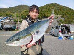 神谷一文字 のませ釣りでメジロ68cm