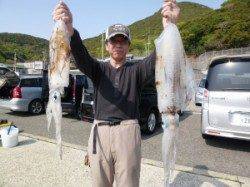 ウキ釣りでアオリイカ、よく釣れています！