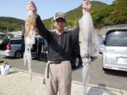 ウキ釣りでアオリイカ、よく釣れています！