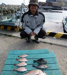 神谷沖一文字外向き　カゴ釣り釣果