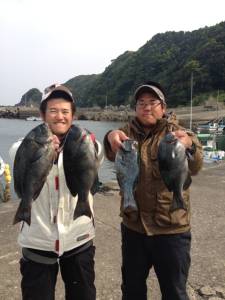 アシカでフカセ釣り、二人で仲良くグレ大漁で…