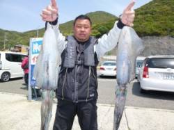 神谷でのヤエン釣り、良サイズのアオリが続々…