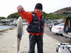 エギングでアオリGET！神谷一文字