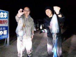 神谷工場裏の波止 半夜のヤエンでアオリイカ狙える