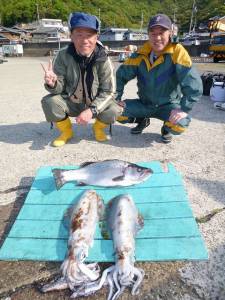 神谷工場裏の波止 ヤエンでアオリイカ＆ヒラ…