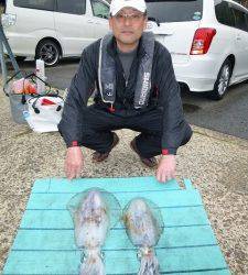 神谷工場裏の波止 ヤエンでアオリイカ＆ヒラスズキ