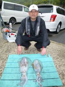 神谷工場裏の波止 ヤエンでアオリイカ＆ヒラスズキ