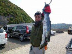 神谷一文字 ショアジギングでサゴシ60cm