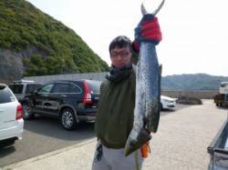 神谷一文字 ショアジギングでサゴシ60cm…