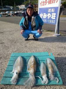 工場裏の波止 ヤエンでアオリイカ〜1.4kg