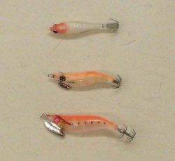 音海波止 スルメイカの新子が接岸