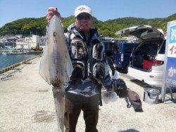 2kgオーバーのBIGアオリイカが続々！工場裏