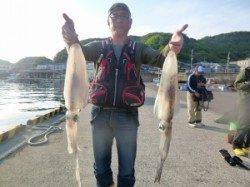 神谷工場裏の波止 ヤエンでアオリイカ〜1.5kg