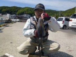 神谷一文字 エギングでアオリイカ900g