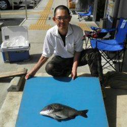 佐波賀地磯 フカセでチヌ50.5cm