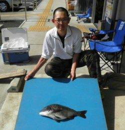 佐波賀地磯 フカセでチヌ50.5cm