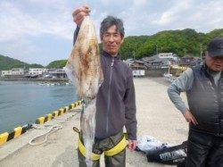 工場裏・神谷一文字エギングでもキロアップ続出！