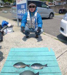 沖一文字内向き、カゴ釣りでグレ釣れています。