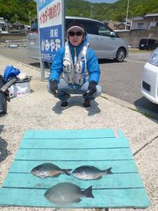 沖一文字内向き、カゴ釣りでグレ釣れています…