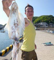 神谷一文字 ウキ釣りのアオリイカ楽しめる