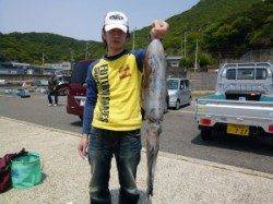 エギングでアオリ楽しめます！神谷一文字