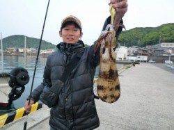 エギングでアオリ楽しめます！神谷一文字