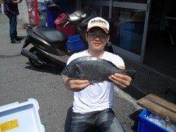 少年フカセ氏がチヌ&メバルGET！カマ磯