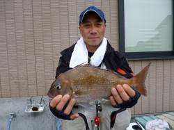 湯浅の磯、コンスタントに真鯛があがっていま…