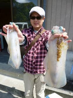 良型アオリ2ハイ！湯浅でヤエン釣り