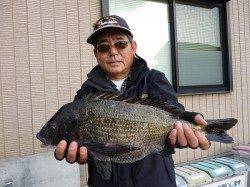 湯浅の磯 フカセでチヌ2枚の釣果