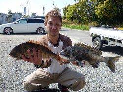 湯浅の磯で59cmの立派なマダイ！