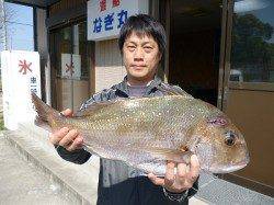 湯浅の磯で59cmの立派なマダイ！