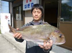 湯浅の磯で59cmの立派なマダイ！