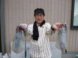 ヤエン仕掛でアオリイカ、大きい春イカです！