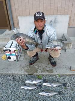 湯浅で紀州釣り、チヌ納得サイズ♪