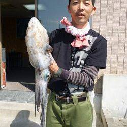 湯浅の磯、エギングでキロアップ ↑ 1.88kgのアオリイカ♪