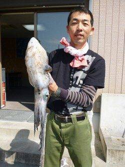 湯浅の磯、エギングでキロアップ ↑ 1.88kgのアオリイカ♪