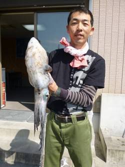 湯浅の磯、エギングでキロアップ ↑ 1.8…